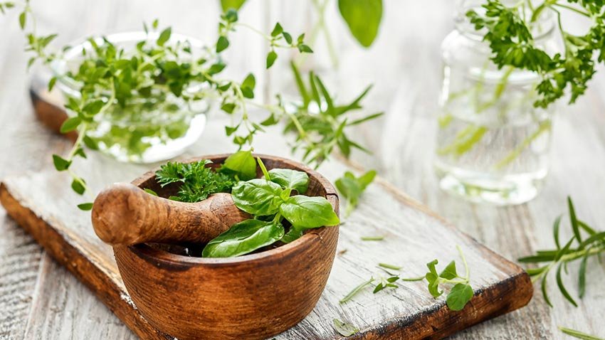basil, thyme, kratom, ginger and other herbs in a wooden bowl about to be ground up for use in a herbal tea blend
